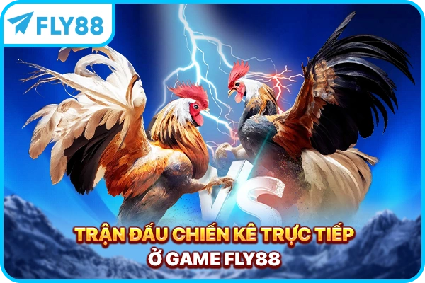 Trận đấu chiến kê trực tiếp ở game FLY88